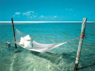 Endless summer