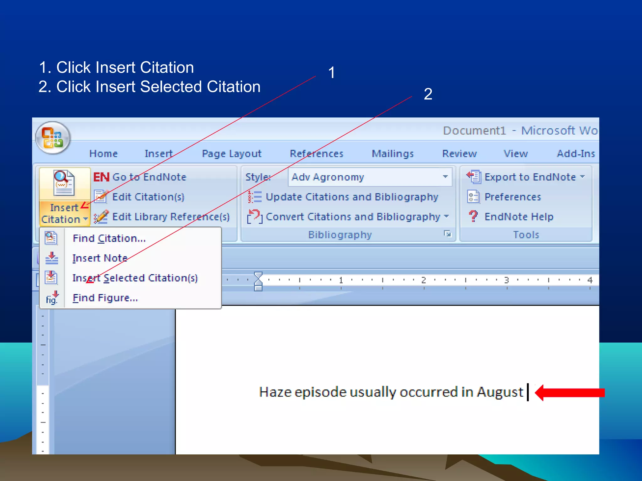 1. Click Insert Citation
2. Click Insert Selected Citation
1
2
 