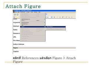 Attach Figure คลิกที่  References  แล้วเลือก  Figure > Attach Figure 