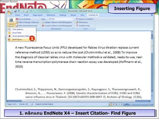 Inserting Figure 1 1.  คลิกแถบ  EndNote   X4 – Insert Citation- Find Figure   