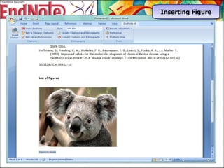 Inserting Figure 