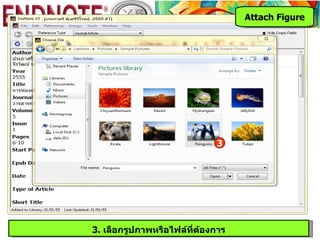Attach Figure




                             3




3. เลือกรูปภาพหรือไฟล์ที่ต้องการ
 
