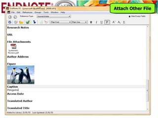 Attach Other File
 