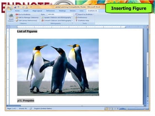 Inserting Figure
 