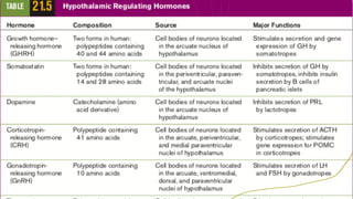 HISTOLOGY OF ENDOCRINE | PDF