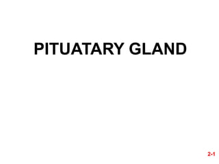PITUATARY GLAND

2-1

 