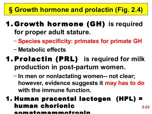 Endo ch02-pituitary