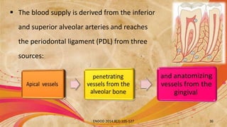 ENDO-PERIO LESION: DIAGNOSIS, PROGNOSIS AND DECISION-MAKING. Antonio ...