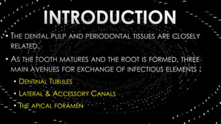 •
•
• DENTINAL TUBULES
• LATERAL & ACCESSORY CANALS
• THE APICAL FORAMEN