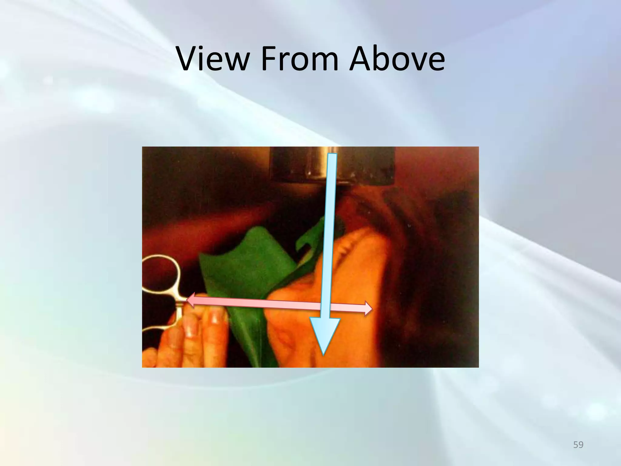 View From Above




                  59
 