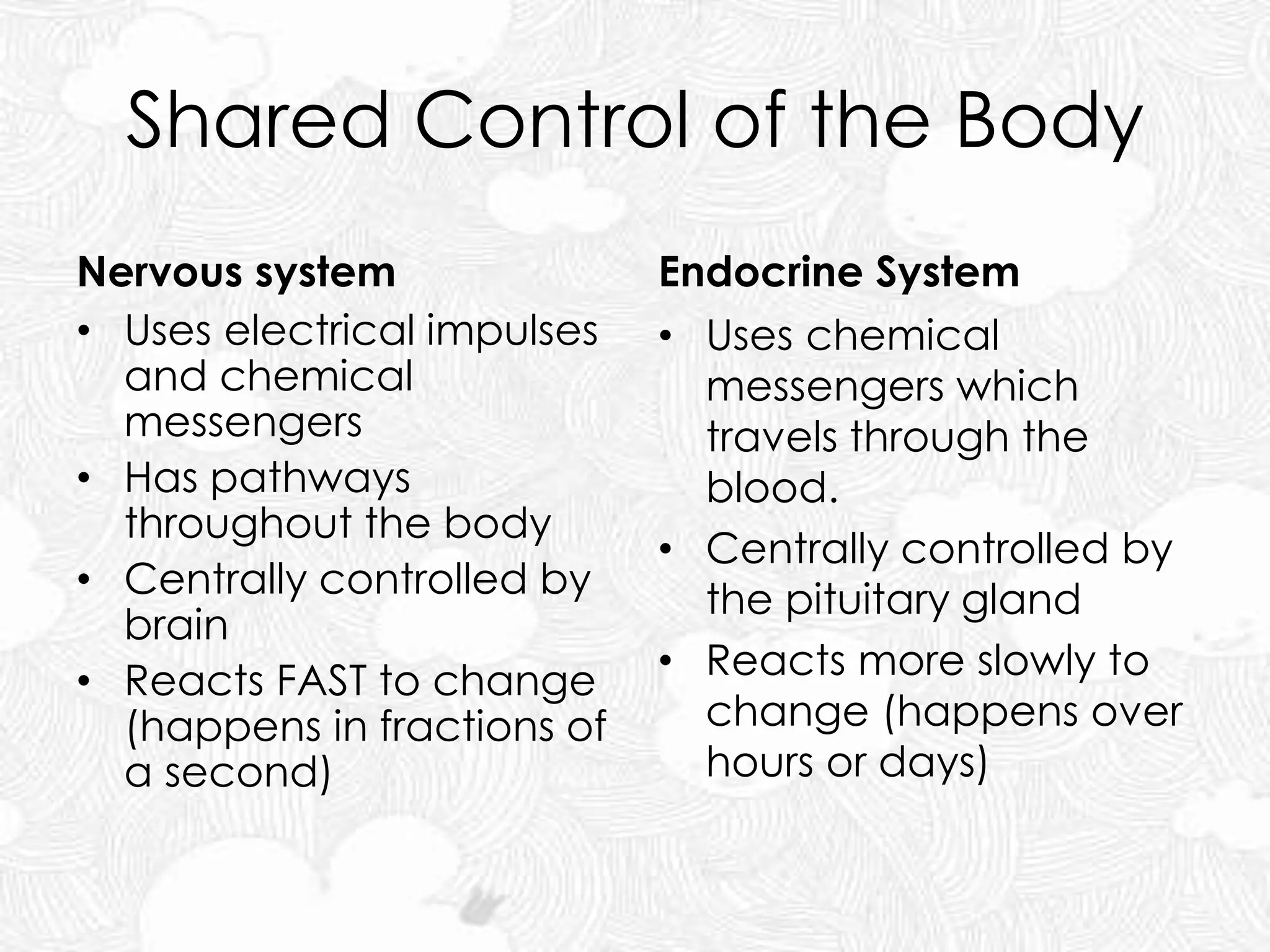Shared Control of the Body
Nervous system
• Uses electrical impulses
and chemical
messengers
• Has pathways
throughout the body
• Centrally controlled by
brain
• Reacts FAST to change
(happens in fractions of
a second)
Endocrine System
• Uses chemical
messengers which
travels through the
blood.
• Centrally controlled by
the pituitary gland
• Reacts more slowly to
change (happens over
hours or days)
 