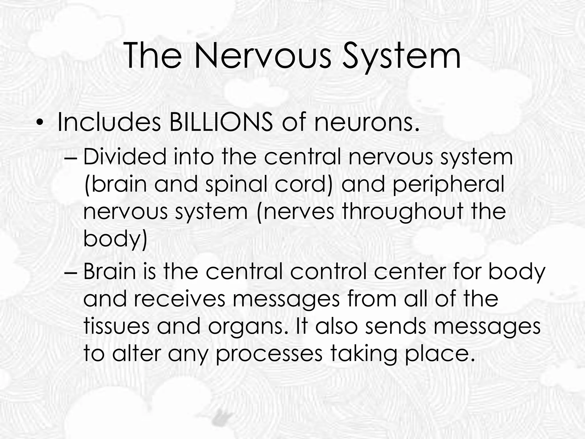The Nervous System
• Includes BILLIONS of neurons.
– Divided into the central nervous system
(brain and spinal cord) and peripheral
nervous system (nerves throughout the
body)
– Brain is the central control center for body
and receives messages from all of the
tissues and organs. It also sends messages
to alter any processes taking place.
 
