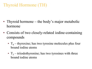 Thyroid Hormone (TH)
• Thyroid hormone – the body’s major metabolic
hormone
• Consists of two closely-related iodine-containing
compounds
• T4 – thyroxine; has two tyrosine molecules plus four
bound iodine atoms
• T3 – triiodothyronine; has two tyrosines with three
bound iodine atoms
 