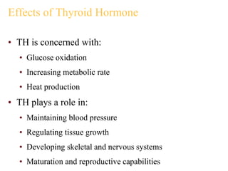 Effects of Thyroid Hormone
• TH is concerned with:
• Glucose oxidation
• Increasing metabolic rate
• Heat production
• TH plays a role in:
• Maintaining blood pressure
• Regulating tissue growth
• Developing skeletal and nervous systems
• Maturation and reproductive capabilities
 