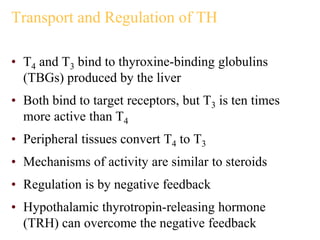 Transport and Regulation of TH
• T4 and T3 bind to thyroxine-binding globulins
(TBGs) produced by the liver
• Both bind to target receptors, but T3 is ten times
more active than T4
• Peripheral tissues convert T4 to T3
• Mechanisms of activity are similar to steroids
• Regulation is by negative feedback
• Hypothalamic thyrotropin-releasing hormone
(TRH) can overcome the negative feedback
 
