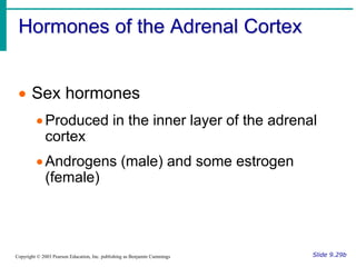 Hormones of the Adrenal Cortex
Slide 9.29b
Copyright © 2003 Pearson Education, Inc. publishing as Benjamin Cummings
 Sex hormones
Produced in the inner layer of the adrenal
cortex
Androgens (male) and some estrogen
(female)
 