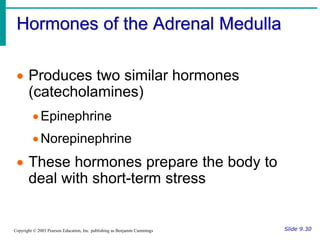 Hormones of the Adrenal Medulla
Slide 9.30
Copyright © 2003 Pearson Education, Inc. publishing as Benjamin Cummings
 Produces two similar hormones
(catecholamines)
Epinephrine
Norepinephrine
 These hormones prepare the body to
deal with short-term stress
 