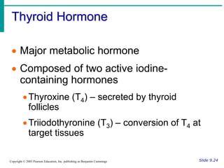 Thyroid Hormone
Slide 9.24
Copyright © 2003 Pearson Education, Inc. publishing as Benjamin Cummings
 Major metabolic hormone
 Composed of two active iodine-
containing hormones
Thyroxine (T4) – secreted by thyroid
follicles
Triiodothyronine (T3) – conversion of T4 at
target tissues
 