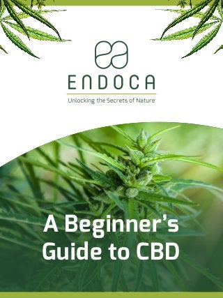 A Beginner’s
Guide to CBD
 