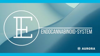 Endocannabinoid-System
 