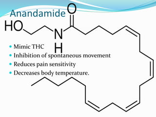 Anandamide
 Mimic THC
 Inhibition of spontaneous movement
 Reduces pain sensitivity
 Decreases body temperature.
 