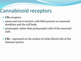 Cannabinoid receptors
 CB1 receptors
 axons and nerve termini, with little present on neuronal
dendrites and the cell body.
 presynaptic rather than postsynaptic side of the neuronal
cleft .
 CB2 - expressed on the surface of white blood cells of the
immune system,
 