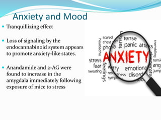 Anxiety and Mood
 Tranquillizing effect
 Loss of signaling by the
endocannabinoid system appears
to promote anxiety-like states.
 Anandamide and 2-AG were
found to increase in the
amygdala immediately following
exposure of mice to stress
 