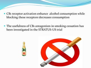  CB1 receptor activation enhance alcohol consumption while
blocking these receptors decreases consumption
 The usefulness of CB1 antagonism in smoking cessation has
been investigated in the STRATUS-US trial
 