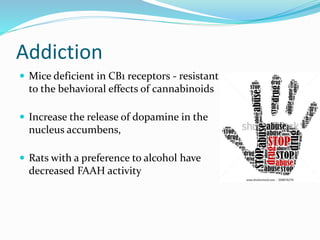 Addiction
 Mice deficient in CB1 receptors - resistant
to the behavioral effects of cannabinoids
 Increase the release of dopamine in the
nucleus accumbens,
 Rats with a preference to alcohol have
decreased FAAH activity
 
