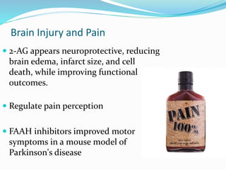 Brain Injury and Pain
 2-AG appears neuroprotective, reducing
brain edema, infarct size, and cell
death, while improving functional
outcomes.
 Regulate pain perception
 FAAH inhibitors improved motor
symptoms in a mouse model of
Parkinson's disease
 