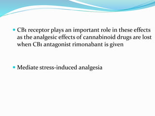  CB1 receptor plays an important role in these effects
as the analgesic effects of cannabinoid drugs are lost
when CB1 antagonist rimonabant is given
 Mediate stress-induced analgesia
 