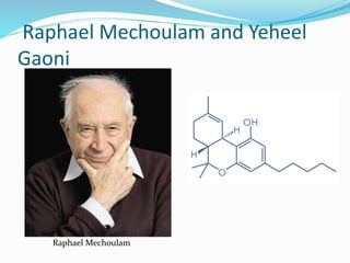 Raphael Mechoulam and Yeheel
Gaoni
Raphael Mechoulam
 