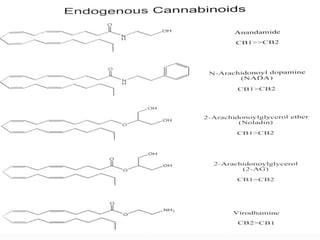 Endocannabinoids
 