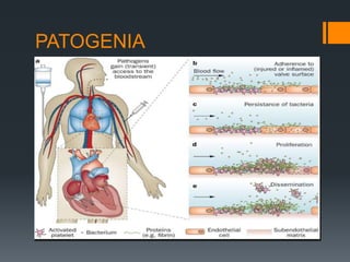 PATOGENIA
 