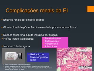 Complicações renais da EI
 Enfartes renais por embolia séptica
 Glomerulonefrite pós enfecciosa mediada por imunocomplexos
 Doença renal renal aguda induzida por drogas.
Nefrite insterstitcial aguda
Necrose tubular aguda
 Beta-lactamicos
 Sulfonamidas
 Vancomicina
 Rifampicina
 Redução do
fluxo sanguineo
renal
 Renal involvement in infectious endocarditis
 Juliana Alves Manhães de Andrade e Jocemir Ronaldo Lugon. Disciplina de
Nefrologia, Departamento de Medicina Clínica, Universidade Federal Fluminense.
Niterói. Rio de Janeiro, RJ, Brasil
 