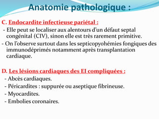 Anatomie pathologique :
C. Endocardite infectieuse pariétal :
- Elle peut se localiser aux alentours d’un défaut septal
congénital (CIV), sinon elle est très rarement primitive.
- On l’observe surtout dans les septicopyohémies fongiques des
immunodéprimés notamment après transplantation
cardiaque.
D. Les lésions cardiaques des EI compliquées :
- Abcès cardiaques.
- Péricardites : suppurée ou aseptique fibrineuse.
- Myocardites.
- Embolies coronaires.
 