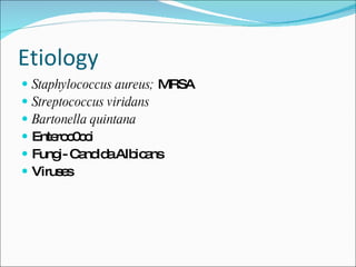 Etiology Staphylococcus aureus;  MRSA Streptococcus viridans Bartonella quintana Enteroc0cci Fungi- Candida Albicans Viruses 