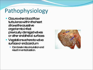 Pathophysiology Occurs when blood flow turbulence within the heart allows the causative organism to infect previously damaged valves or other endothelial surfaces Vegetations adhere to valve surface or endocardium Can break into circulation and result in embolization. 