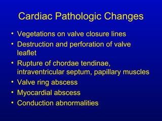 Cardiac Pathologic Changes
• Vegetations on valve closure lines
• Destruction and perforation of valve
leaflet
• Rupture of chordae tendinae,
intraventricular septum, papillary muscles
• Valve ring abscess
• Myocardial abscess
• Conduction abnormalities
 
