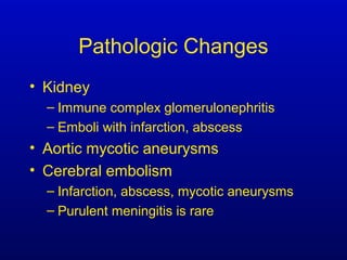 Pathologic Changes
• Kidney
– Immune complex glomerulonephritis
– Emboli with infarction, abscess
• Aortic mycotic aneurysms
• Cerebral embolism
– Infarction, abscess, mycotic aneurysms
– Purulent meningitis is rare
 