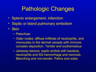 Pathologic Changes
• Splenic enlargement, infarction
• Septic or bland pulmonary embolism
• Skin
– Petechiae
– Osler nodes: diffuse infiltrate of neutrophils, and
monocytes in the dermal vessels with immune
complex deposition. Tender and erythematous
– Janeway lesions: septic emboli with bacteria,
neutrophils and SQ hemorrhage and necrosis.
Blanching and non-tender. Palms and soles
 