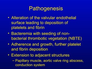 Pathogenesis
• Alteration of the valvular endothelial
surface leading to deposition of
platelets and fibrin
• Bacteremia with seeding of non-
bacterial thrombotic vegetation (NBTE)
• Adherence and growth, further platelet
and fibrin deposition
• Extension to adjacent structures
– Papillary muscle, aortic valve ring abscess,
conduction system
 