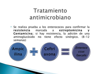    Se realiza prueba a los enterococos para confirmar la
    resistencia     marcada    a    estreptomicina      y
    Gentamicina; si hay resistencia, la adición de una
    aminoglucósido no tiene efecto sinérgico. (8-12
    semanas)
 