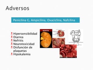 Penicilina G, Ampicilina, Oxaciclina, Nafcilina



 Hipersensibilidad
 Diarrea
 Nefritis
 Neurotoxicidad
 Disfunción de
  plaquetas
 Hipokalemia
 