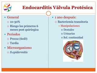 Endocarditis Válvula Protésica

 General                     1 ano después:
    10-30%                      Bacteriemia transitoria
    Riesgo los primeros 6           Manipulaciones
     meses post quirúrgica             Dentales

 Periodos                             Urinarias

                                       Sol. continuidad
    Precoz (60D)
    Tardia
 Microorganismo
    S.epidermitis
 