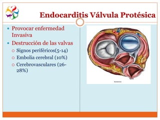 Endocarditis Válvula Protésica
 Provocar enfermedad
  Invasiva
 Destrucción de las valvas
    Signos periféricos(5-14)
    Embolia cerebral (10%)
    Cerebrovasculares (26-
     28%)
 