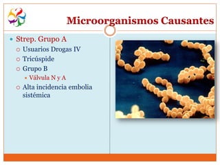 Microorganismos Causantes
 Strep. Grupo A
    Usuarios Drogas IV
    Tricúspide
    Grupo B
        Válvula N y A
    Alta incidencia embolia
     sistémica
 
