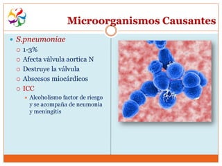 Microorganismos Causantes
 S.pneumoniae
    1-3%
    Afecta válvula aortica N
    Destruye la válvula
    Abscesos miocárdicos
    ICC
        Alcoholismo factor de riesgo
         y se acompaña de neumonía
         y meningitis
 