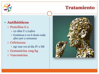 Tratamiento


 Antibióticos
    Penicilina G a
      12-18m U c/24hrs
      Continua o en 6 dosis cada
       4hrs por 2 semanas
    Ceftriazona
        2gr una vez al dia IV o IM
    Gentamicina 1mg/kg
    Vancomicina
 