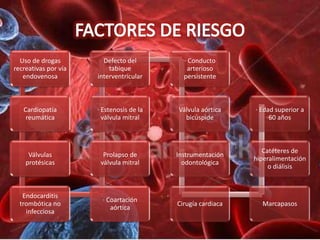Uso de drogas         Defecto del         · Conducto
recreativas por vía       tabique            arterioso
   endovenosa         interventricular      persistente



   Cardiopatía        · Estenosis de la   Válvula aórtica    · Edad superior a
    reumática           válvula mitral      bicúspide             60 años



                                                                Catéteres de
     Válvulas           Prolapso de       Instrumentación
                                                             hiperalimentación
    protésicas         válvula mitral       odontológica
                                                                  o diálisis



   Endocarditis
                        · Coartación
  trombótica no                           Cirugía cardiaca     Marcapasos
                           aórtica
    infecciosa
 